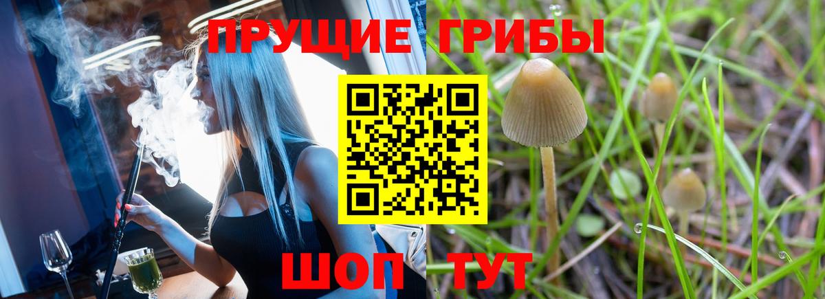 Ипатово  Псилоцибиновые грибы Magic Shrooms  Псилоцибиновые грибы ЛСД  Вход с VPN 